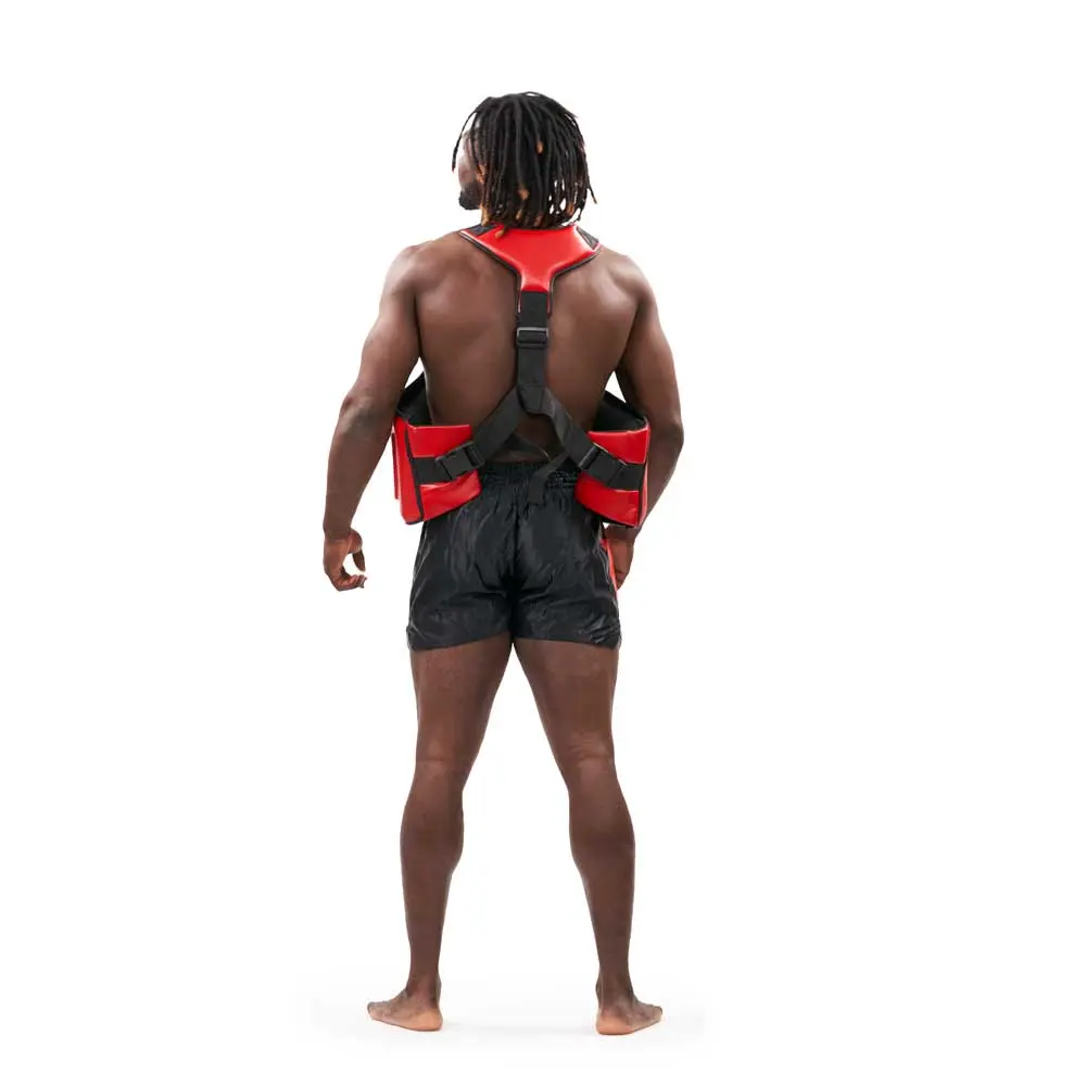 PlastronWear2Back.webp