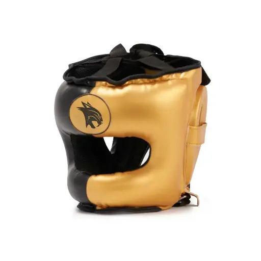 Casque Protection Gold/Black