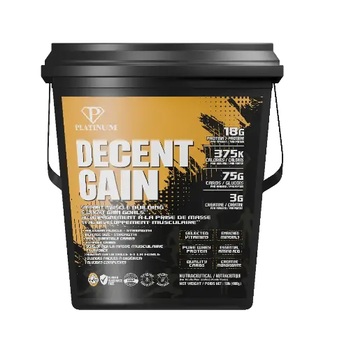 [PLDEGA45CC] DECENT GAIN - 4.5kg Chocolat Cookies