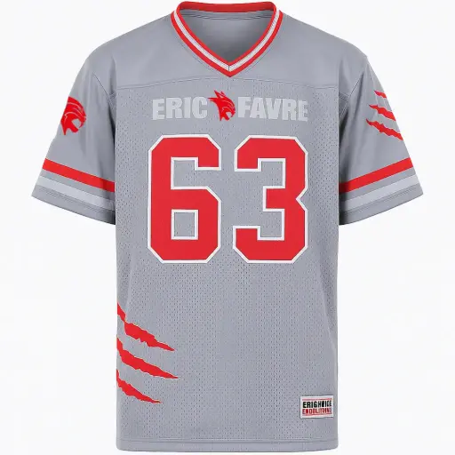 American T-Shirt Gris